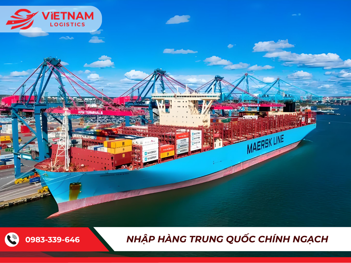 Khám phá 10 hãng tàu container lớn nhất thế giới hiện nay 2025