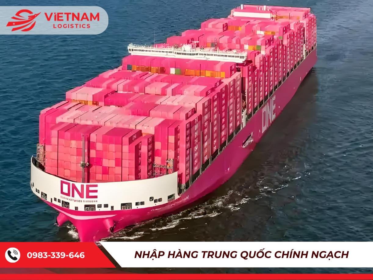 Khám phá 10 hãng tàu container lớn nhất thế giới hiện nay 2026